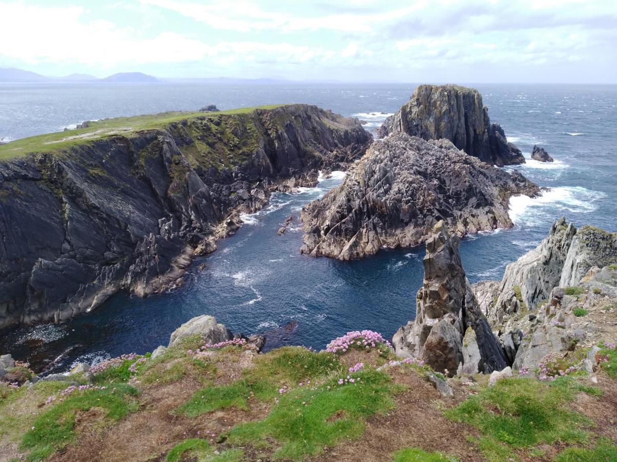 Madra Rua Organic Accommodation Ballyliffin Ngoại thất bức ảnh